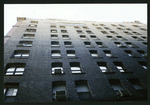 Block 451: Staple Street between Jay Street and Duane Street (east side)