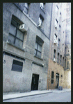Block 451: Staple Street between Jay Street and Duane Street (east side)