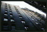 Block 451: Staple Street between Jay Street and Duane Street (east side)