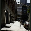 Block 451: Staple Street between Jay Street and Duane Street (east side)