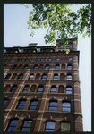 Block 451: Duane Street between Staple Street and Hudson Street (north side)