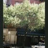 Block 452: Reade Street between Greenwich Street and Hudson Street (north side)