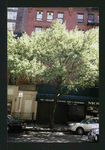 Block 452: Reade Street between Greenwich Street and Hudson Street (north side)