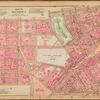 Plate 8
