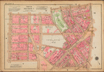 Plate 8