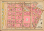 Plate 10