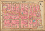 Plate 11