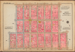 Plate 22