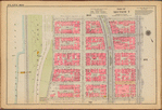 Plate 100