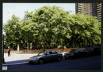 Block 454: Greenwich Street between Chambers Street and Harrison Street (west side)