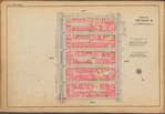 Plate 164