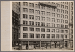 The Wilson Building
