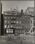 Trees and apartments