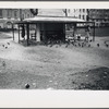 Pigeons and park pavillion