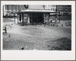 Pigeons and park pavillion