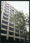 Block 474: Hudson Street between West Houston Street and King Street (east side)