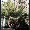 Block 476: Sullivan Street between Spring Street and Prince Street (west side)