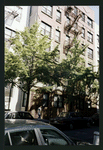 Block 476: Sullivan Street between Spring Street and Prince Street (west side)