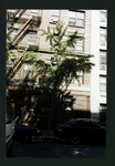 Block 476: Sullivan Street between Spring Street and Prince Street (west side)