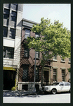 Block 479: Charlton Street between Varick Street and Sixth Avenue (north side)