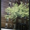 Block 480: West Houston Street between Sixth Avenue and Varick Street (south side)