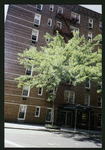 Block 480: West Houston Street between Sixth Avenue and Varick Street (south side)