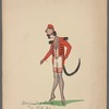 Organ Grinder's Monkey