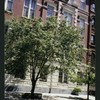 Block 480: King Street between Varick Street and Sixth Avenue (north side)