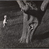 Child and Tree