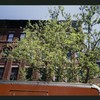 Block 480: King Street between Varick Street and Sixth Avenue (north side)