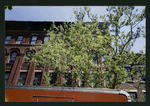 Block 480: King Street between Varick Street and Sixth Avenue (north side)