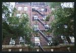 Block 481: Macdougal Street between West Houston Street and Prince Street (east side)