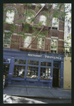Block 481: Macdougal Street between West Houston Street and Prince Street (east side)
