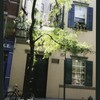 Block 481: Macdougal Street between West Houston Street and Prince Street (east side)