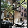 Block 481: Prince Street between Macdougal Street and Sullivan Street (north side)