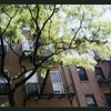 Block 481: Prince Street between Macdougal Street and Sullivan Street (north side)