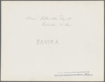Homes and land cultivation. Arthurdale project. Reedsville, West Virginia