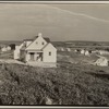 View of  some of  the homesteads, Westmoreland Homesteads, [Norvelt,] Pennsylvania