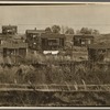 Alabama miners' houses near Birmingham, Alabama