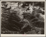 Erosion near Jackson, Mississippi