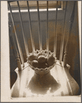 Still life: dish of lemons on chair.