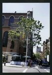 Block 482: West Houston Street between Thompson Street and Sullivan Street (south side)