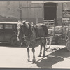 Horse cart