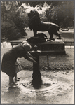 Fountain and lion sculpture