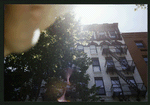 Block 483: Sullivan Street between Prince Street and Spring Street (east side)