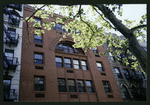 Block 483: Sullivan Street between Prince Street and Spring Street (east side)