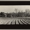 Erosion near Jackson, Mississippi