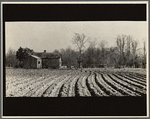 Erosion near Jackson, Mississippi