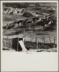 Erosion near Tupelo, Mississippi