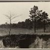 Erosion near Oxford, Mississippi